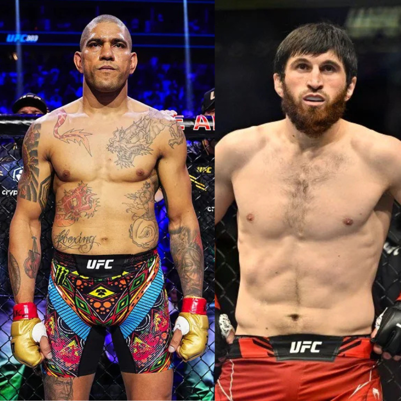UFC 313: Rookie Spotlight - Who Will Make A Name For Themselves? UFC 313: Rookie Spotlight - Who Will Make A Name For Themselves?