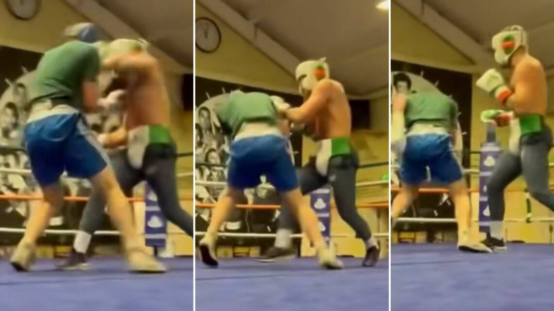 UFC Bogeyman KO's McGregor Sparring Partner: Seven-Fight Run Ends In Controversy UFC Bogeyman KO's McGregor Sparring Partner: Seven-Fight Run Ends In Controversy