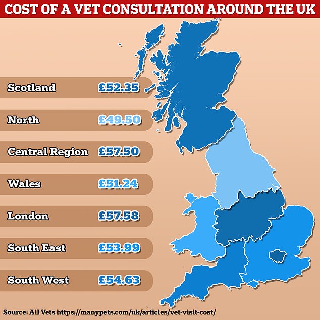 UK Pet Owners Face Soaring Bills: The Role Of Corporate Veterinary Practices UK Pet Owners Face Soaring Bills: The Role Of Corporate Veterinary Practices