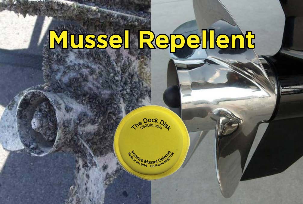 Unexpected Zebra Mussel Problem In Casper: A Boat Lift Infestation Unexpected Zebra Mussel Problem In Casper: A Boat Lift Infestation