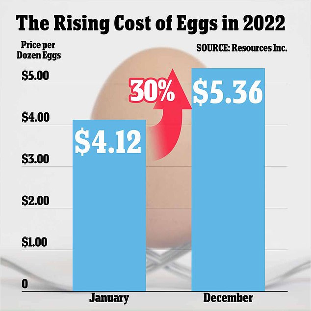 US Egg Prices Drop To $5 A Dozen: Relief For Consumers US Egg Prices Drop To $5 A Dozen: Relief For Consumers