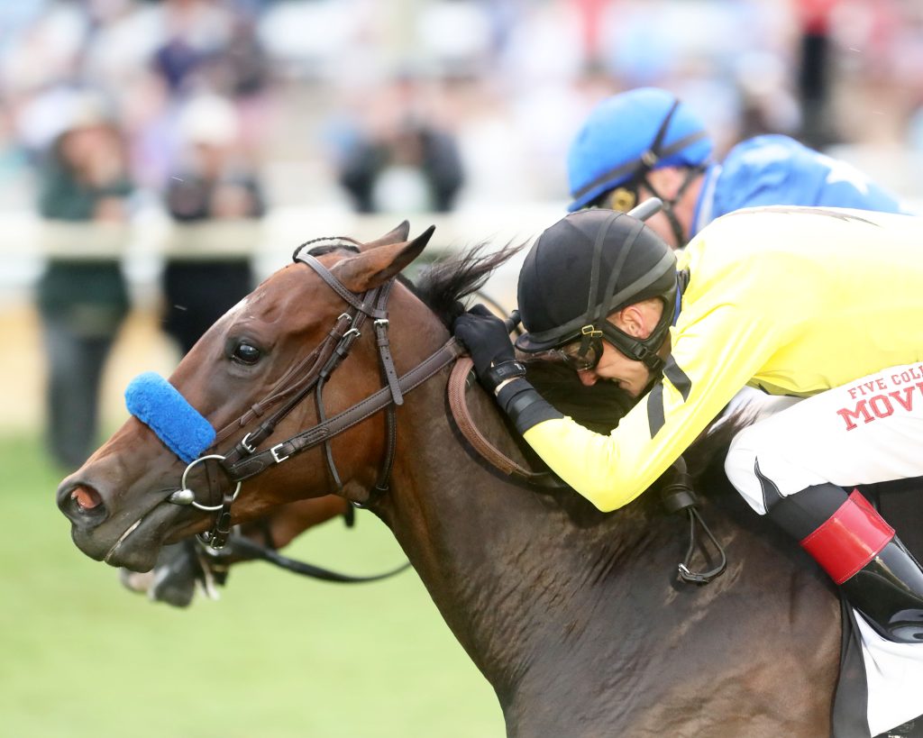 Virginia Derby: Official Announcement Expected From Stone At Colonial Downs Virginia Derby: Official Announcement Expected From Stone At Colonial Downs