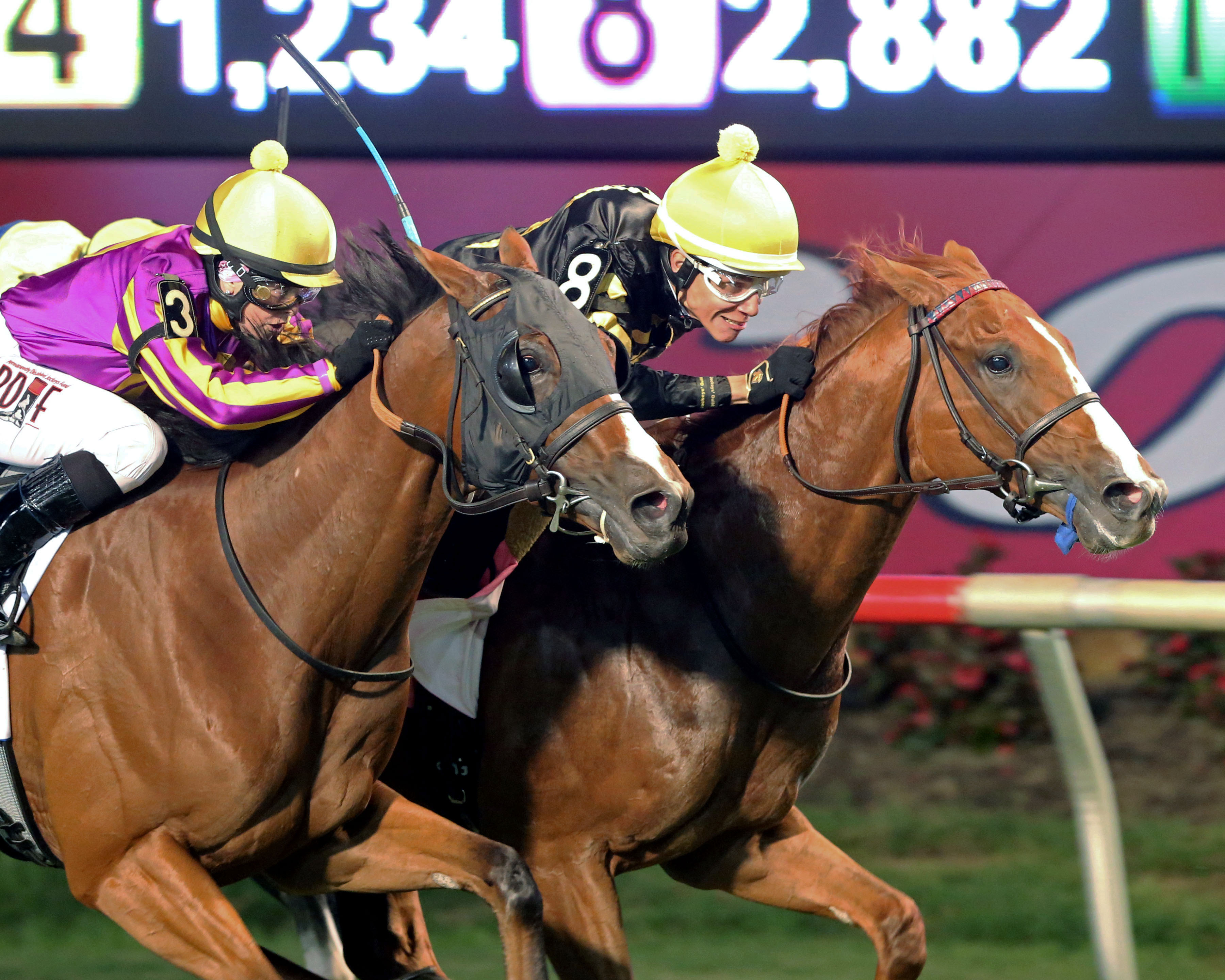 Virginia Derby: Stone's Official Announcement At Colonial Downs
