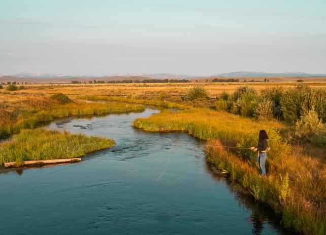Volunteer For Wyoming's Guided Fishing Advisory Board Volunteer For Wyoming's Guided Fishing Advisory Board