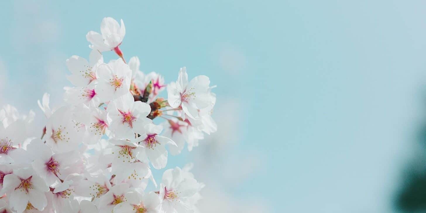 Was Geschah Am 10. April? Wichtige Ereignisse & Historische Daten
