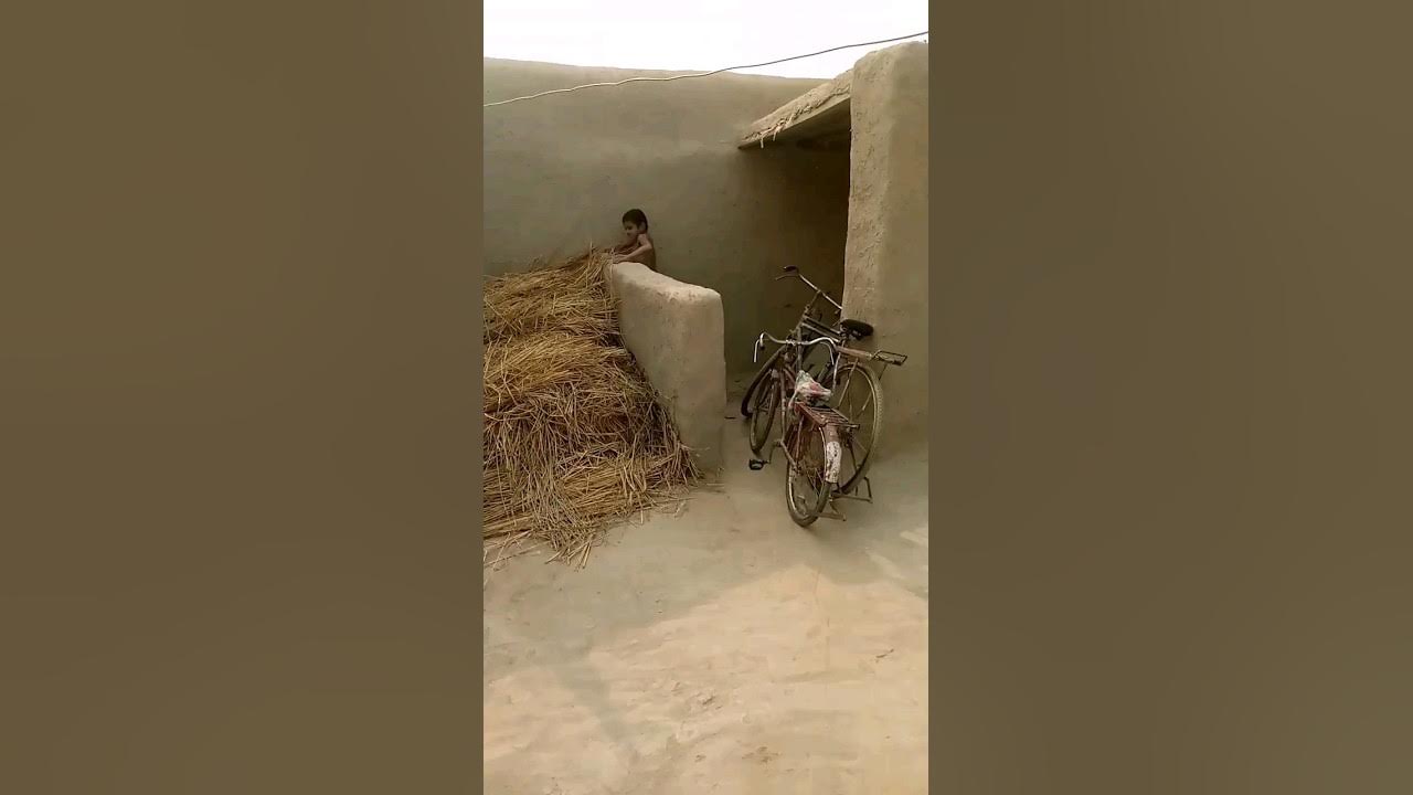 وائرل ویڈیو: مداح نے ٹام کروز کے جوتوں پر چڑھنے کی کوشش کی وائرل ویڈیو: مداح نے ٹام کروز کے جوتوں پر چڑھنے کی کوشش کی