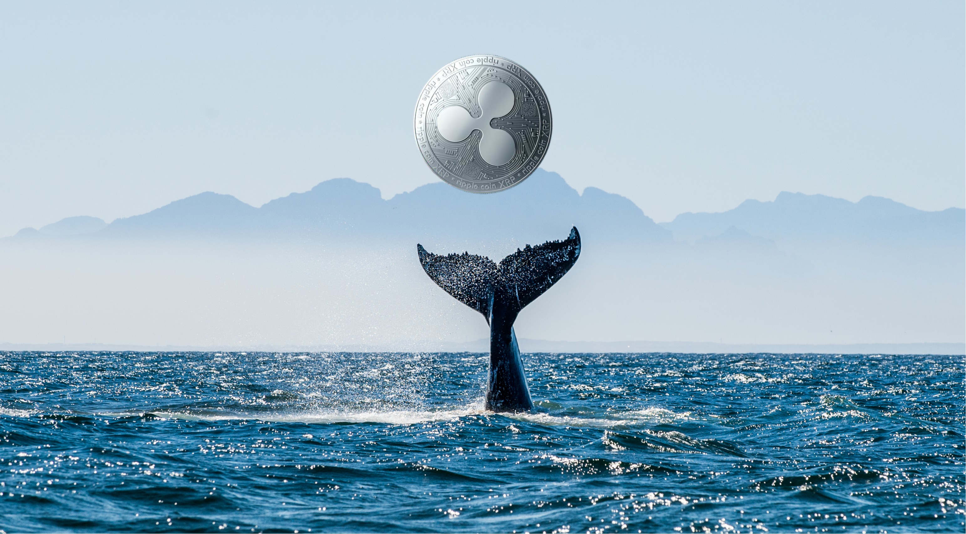 Whale Alert: 20 Million XRP Bought – Implications For Ripple Investors Whale Alert: 20 Million XRP Bought – Implications For Ripple Investors