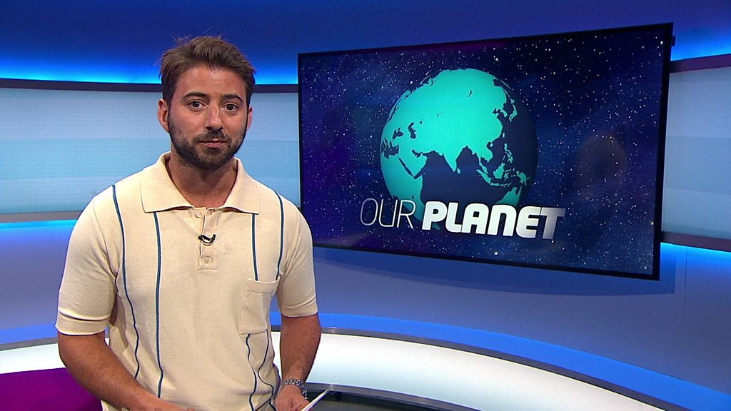 Where To Watch Newsround: BBC Two HD TV Guide Where To Watch Newsround: BBC Two HD TV Guide