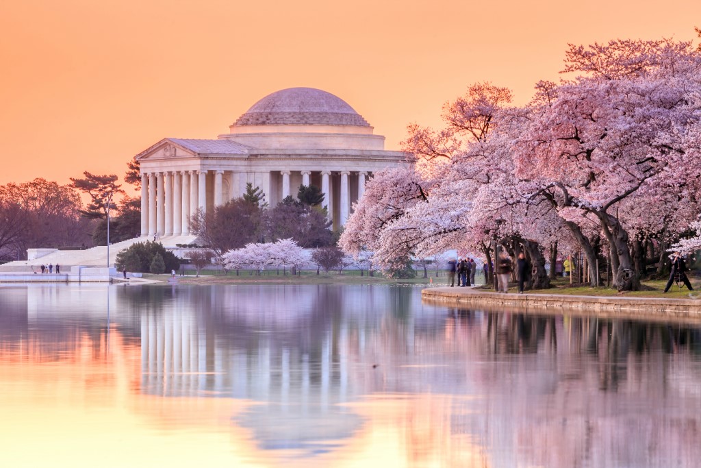 Who's Who In Washington DC 2025: The Top 500 Influencers Who's Who In Washington DC 2025: The Top 500 Influencers