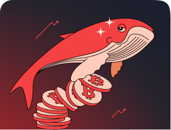 Why JackBit Is Rated The Best Bitcoin Online Casino In 2025 Why JackBit Is Rated The Best Bitcoin Online Casino In 2025