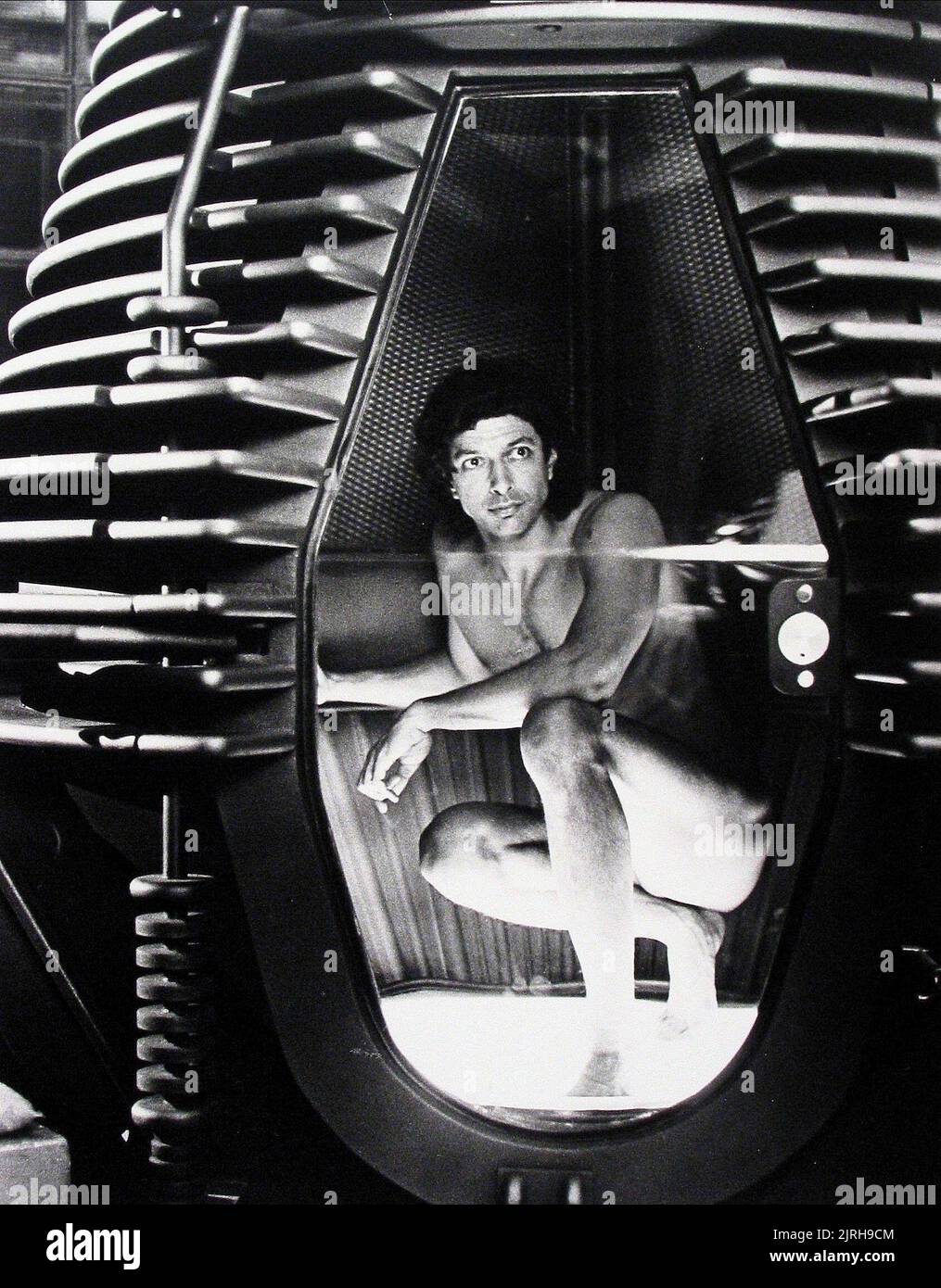 Why Jeff Goldblum Wanted A Different Ending For The Fly Why Jeff Goldblum Wanted A Different Ending For The Fly