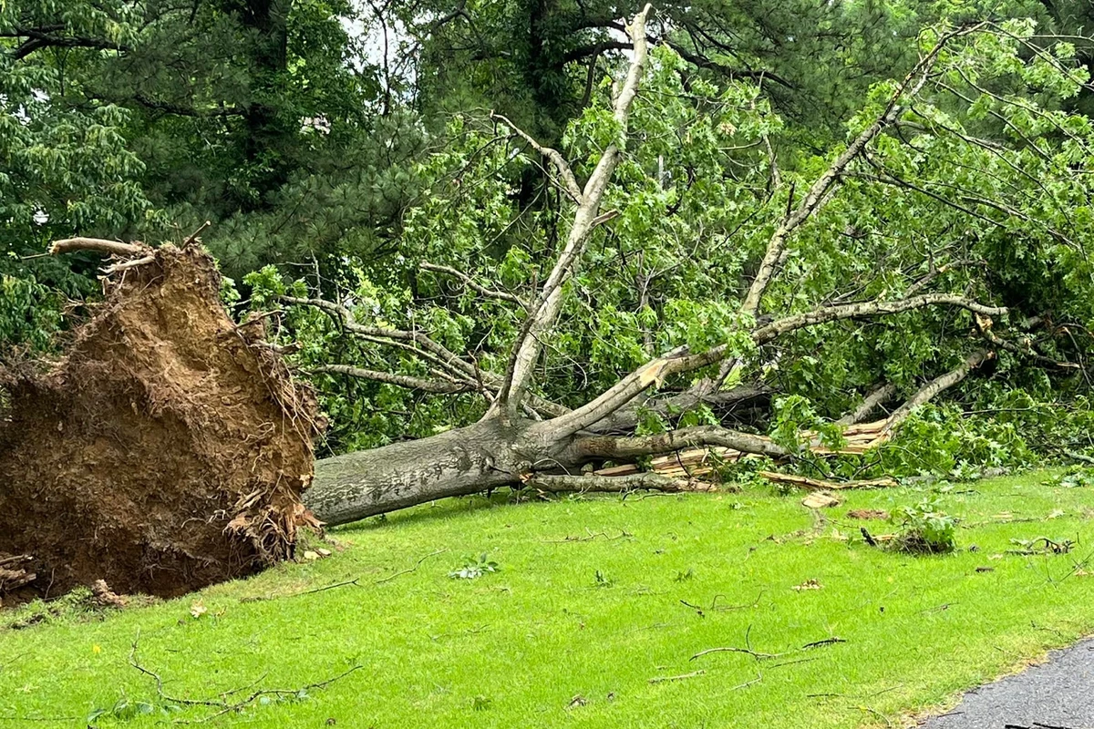 Why Kentucky Storm Damage Assessments Are Delayed Why Kentucky Storm Damage Assessments Are Delayed