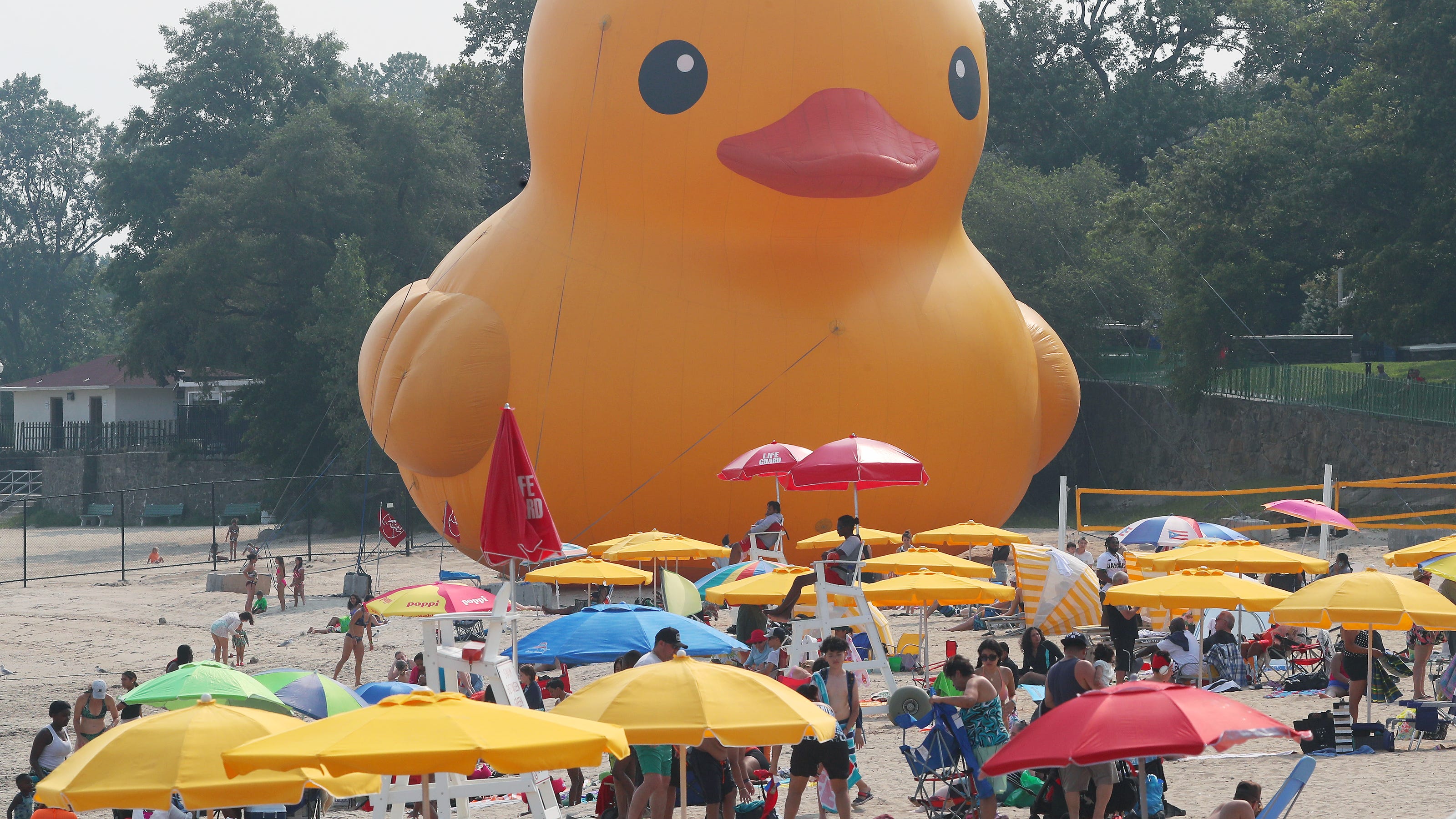 World's Largest Rubber Duck Arrives In Myrtle Beach With Important Message World's Largest Rubber Duck Arrives In Myrtle Beach With Important Message
