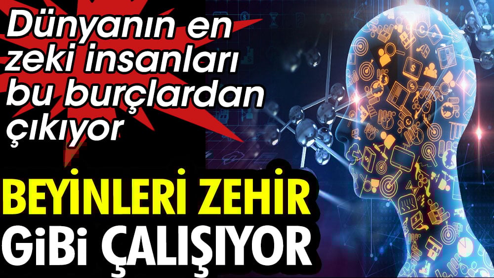 Zekanın Sırrı Burçlarda Mı? En Akıllı Burçlar Listesi Zekanın Sırrı Burçlarda Mı? En Akıllı Burçlar Listesi